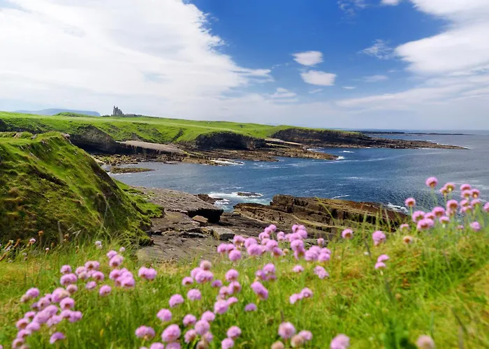 Дом отдыха Ciara's Place *